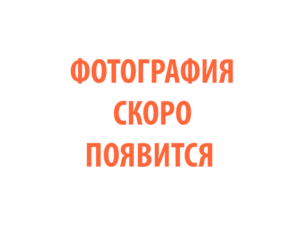 Фото 60 - Горелка TECH MS 40.